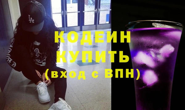 индика Заволжск