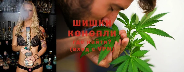 гидра Ельня