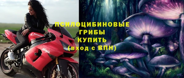 марки lsd Заводоуковск