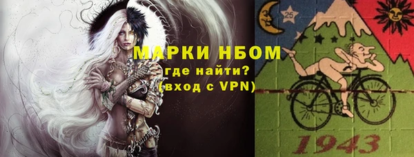 индика Заволжск