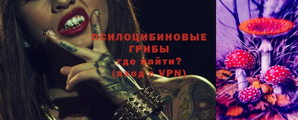 индика Заволжск
