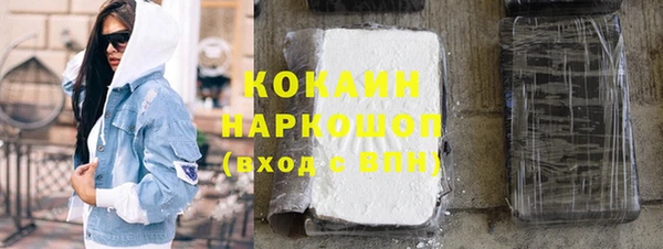 индика Заволжск