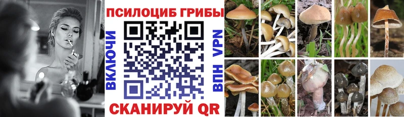 Псилоцибиновые грибы Psilocybine cubensis  Лангепас 